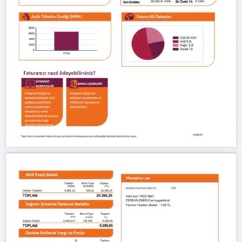 Cerean Enerji Elektrik Faturası Ve Sigorta Aboneliği Sorunu