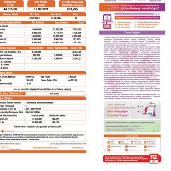 Cerean Enerji Elektrik Faturası Ve Sigorta Aboneliği Sorunu