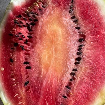 Getir Uygulaması Ürün İade Sorunu