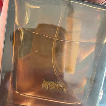 Tudors Gömlek Parfümde Yabancı Cisim Şoku: Sağlığımız Tehlikede Mi?