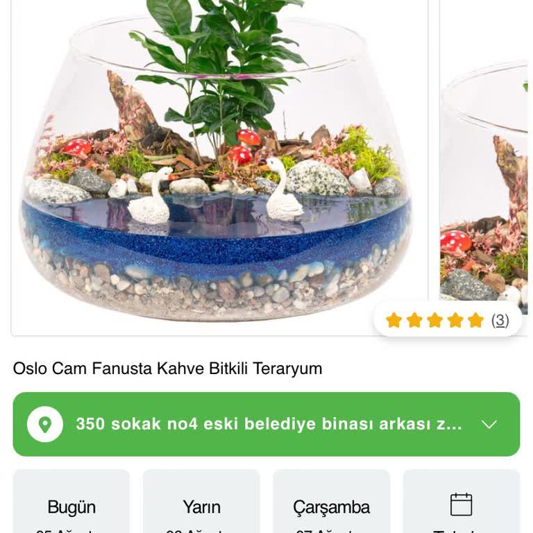 Vitaryum Çicek & Teraryum Çiçek Sepeti Şikayetim Var