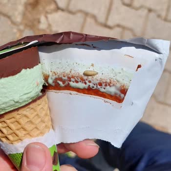 Algida Kornet Dondurmadan Çıkan Kurt
