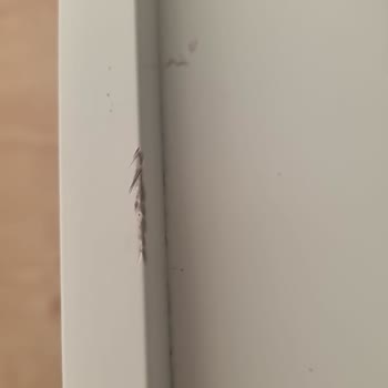 Philips Çalışanları TV Ünitemi Kırdı