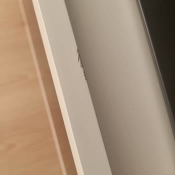 Philips Çalışanları TV Ünitemi Kırdı