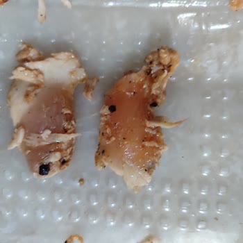 Erpiliç Tavuk Dönerin İçinden Çiğ Parçalar Çıktı