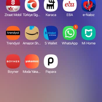 E-Devlet Destek Vaadiyle Aldatma Tehlikesi