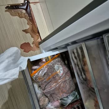 15 Günlük Tatil Sürecinde Tüm Ürünlerimi Çöp Eden Beko Buzdolabı