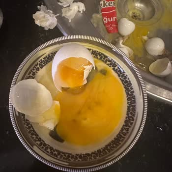 Keskinoğlu Migros'tan Aldığım Yumurtalar Bozuk Çıktı!