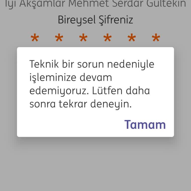ING Teknik Hata Mobil Şube Açılmıyor