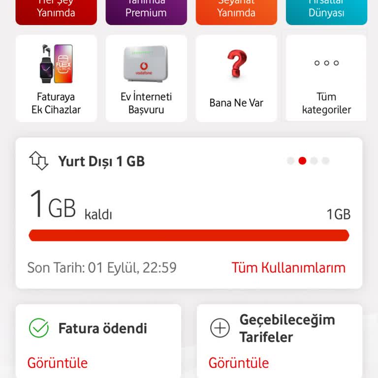 Vodafone Yurt Dışı Paket Sorunu: İnternet Ve Arama Problemleri