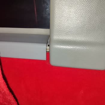 Yeni Diyarbakır Seyahat Hamam Böceği Otobüste Dolu