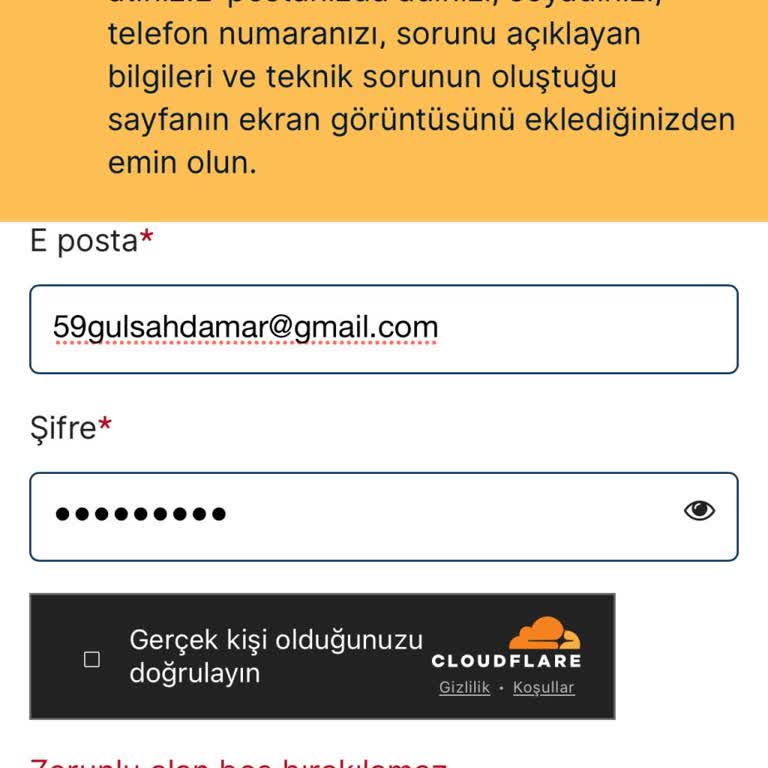 VFS Global Randevu Ve Sisteme Giriş Sorunu