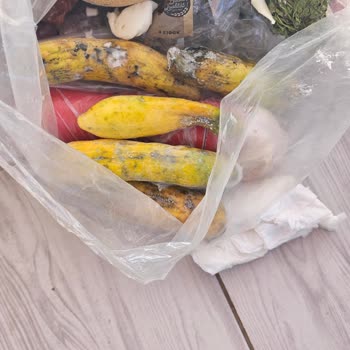 Bosch Buzdolabı Pişmanlıktır