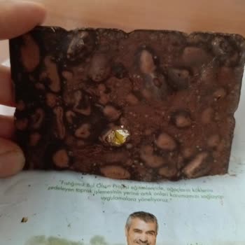 Nestle Çikolata Tarihi Geçmemiş Ama İçi Bozuk