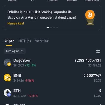 Binance Üzerinden Pancakeswap Token Satamama