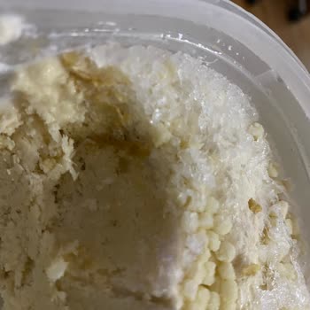 Carte d'Or Carte Dor Koruma Jelatini Yok Ve Dondurma Buzlu