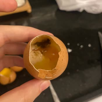 Getir Bebeğime Aldığım Organik Bozuk Yumurta