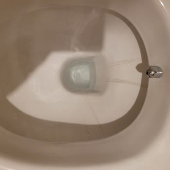 Vitra Marka Klozette Siyah Lekelenme Sorunu!