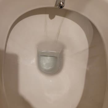 Vitra Marka Klozette Siyah Lekelenme Sorunu!