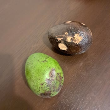 Migros Bozuk Avokado Gönderip Değişim Yapmamaları