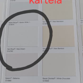 Polisan Bayi Kartela Mağduriyeti