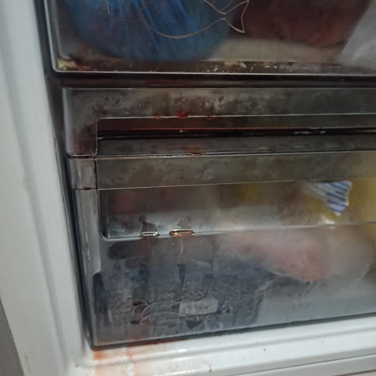 Arçelik Buzdolabı Soğutma Sorunu Ve Geç Gelen Servis