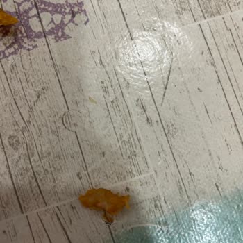 Trendyol Yemek Restaurantlarının Denetimsizliği Ve Sağlıksız Ürünler