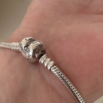 Pandora Mücevher Kararan Pandora Bileklik