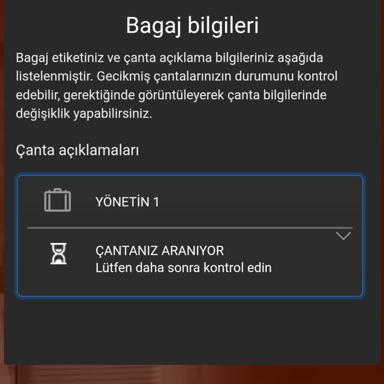 Pegasus Bagaj Sorunu Ve Önemli Eşyaların Kaybolması