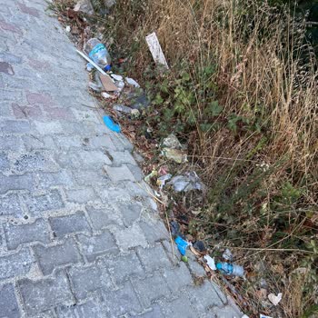 Büyükçekmece Belediyesi Çevre Kirliliği İnsanların Eğitimsizliği