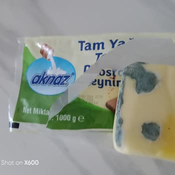 Aknaz Kaşar Peyniri Küfleniyor