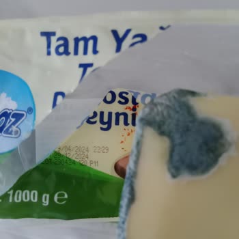 Aknaz Kaşar Peyniri Küfleniyor