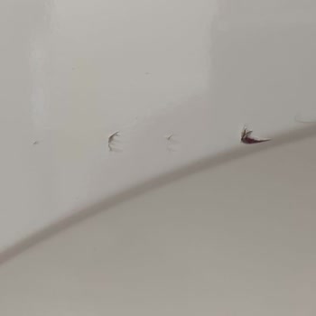 Bosch Sıfır Makinemi Kurulumda Hurda Ettiniz. Çözümünü De Bulun!