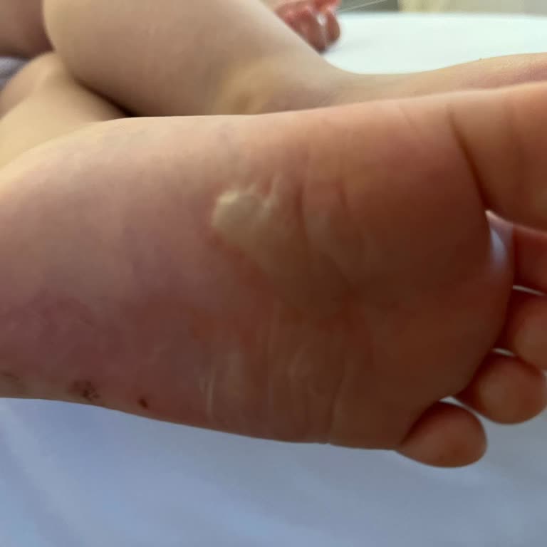 Şah inn Paradise Artık Önlem Alınsın