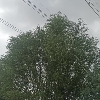 TEİAŞ Can Güvenliği Sorunu!