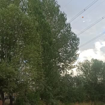 TEİAŞ Can Güvenliği Sorunu!