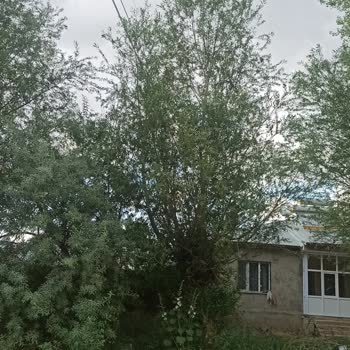 TEİAŞ Can Güvenliği Sorunu!