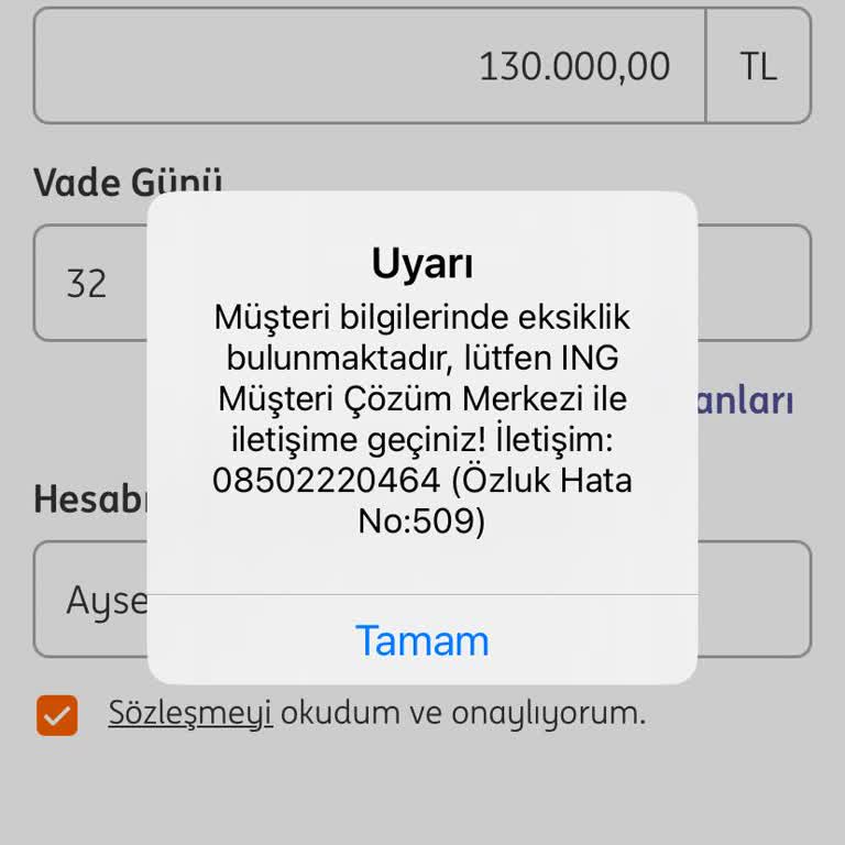 ING Antalya Şube Gişe Görevlisi