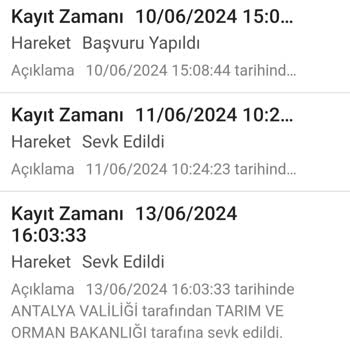 Tarım ve Orman Bakanlığı Kemer'de Plaj Erişimi Engelleniyor: Yetkililer Sessiz