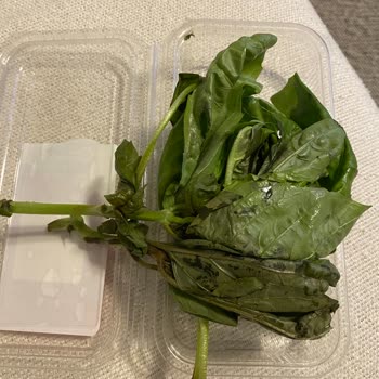 File Market Eksik Ve Kusurlu Ürün