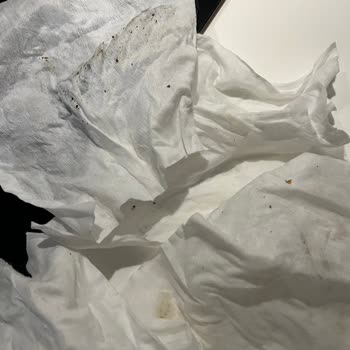 Philips ALL İn One Cooker Patlaması Güvenlik Endişesi Yarattı