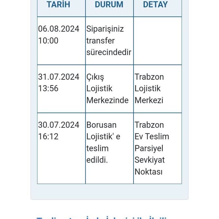 Borusan Lojistik Teslim Edilmeyen Kargo