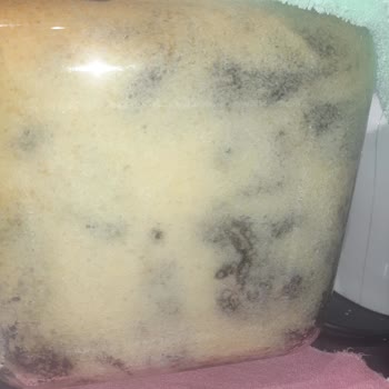 Bosch Ankastre Fırın Altı Pişirmiyor