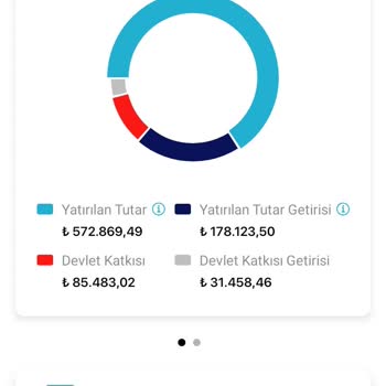 Türkiye Hayat Emeklilik Yanlış Yatırım Tavsiyeleriyle Birikimlerimizi Erittik