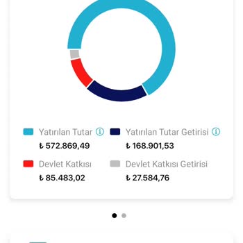 Türkiye Hayat Emeklilik Yanlış Yatırım Tavsiyeleriyle Birikimlerimizi Erittik