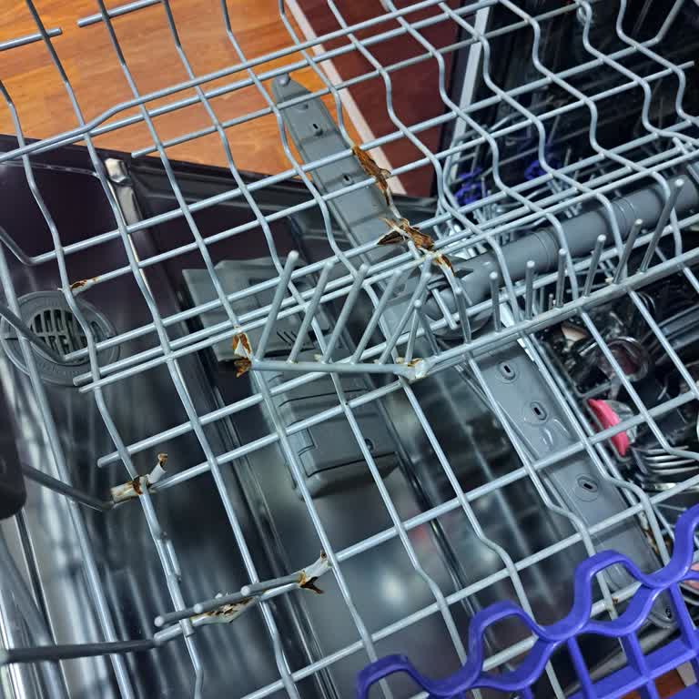 LG Bulaşık Makinesi Sepetlerinin Paslanıp Kırılması