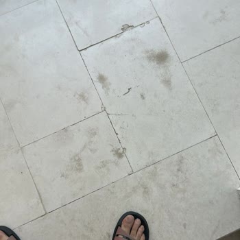 Tatilde Kirala Ev Pislik İçinde