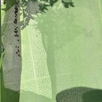 Tatilde Kirala Ev Pislik İçinde