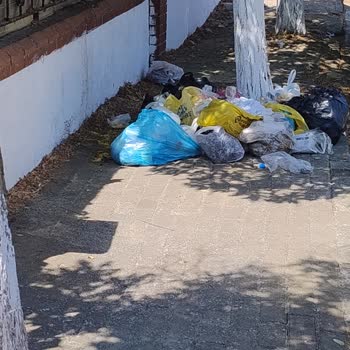 Silivri Belediyesi Sokakta Çoğalan Çöpler