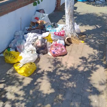 Silivri Belediyesi Sokakta Çoğalan Çöpler